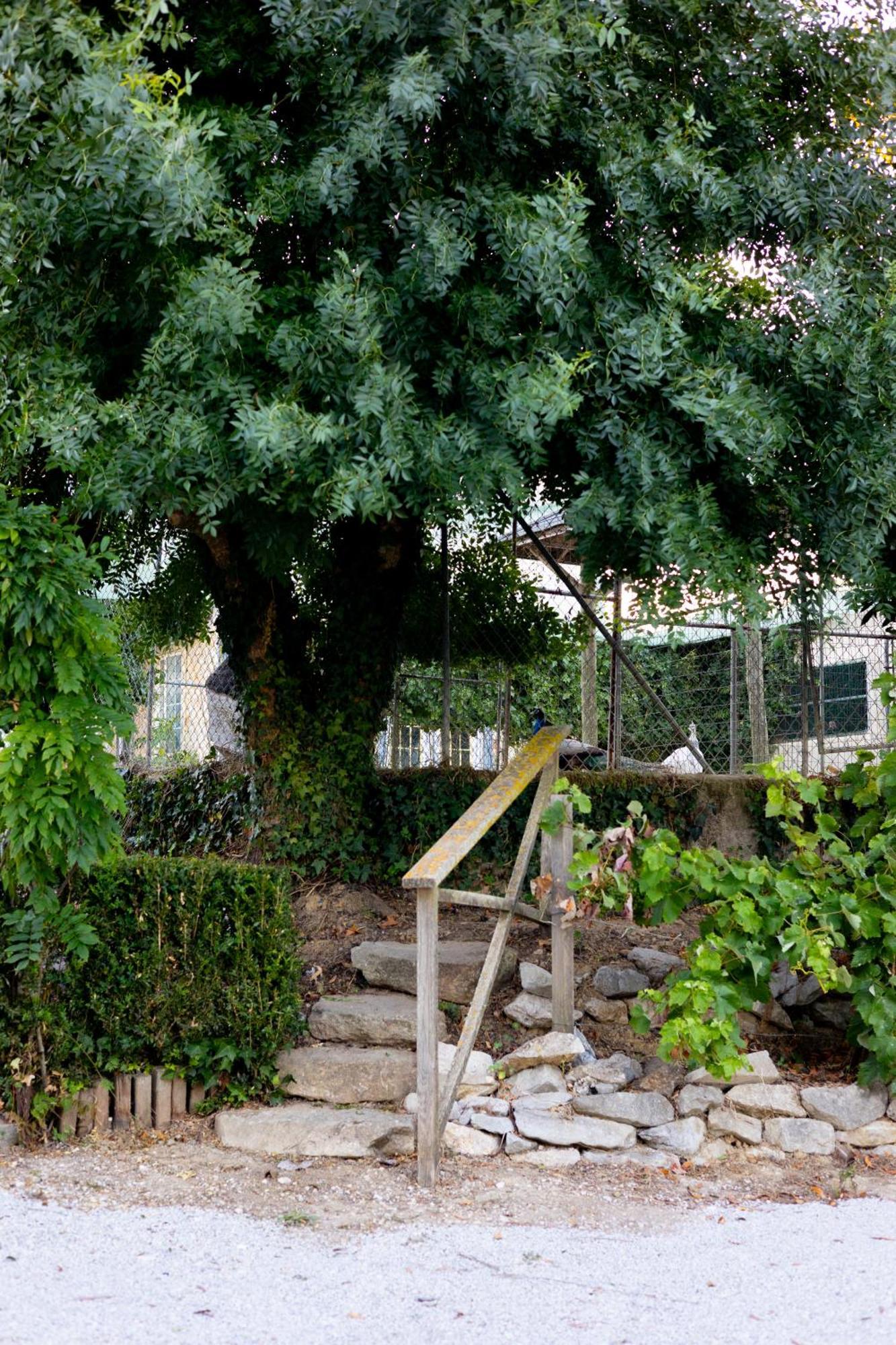 Kabaceira Village Atalaia  Εξωτερικό φωτογραφία
